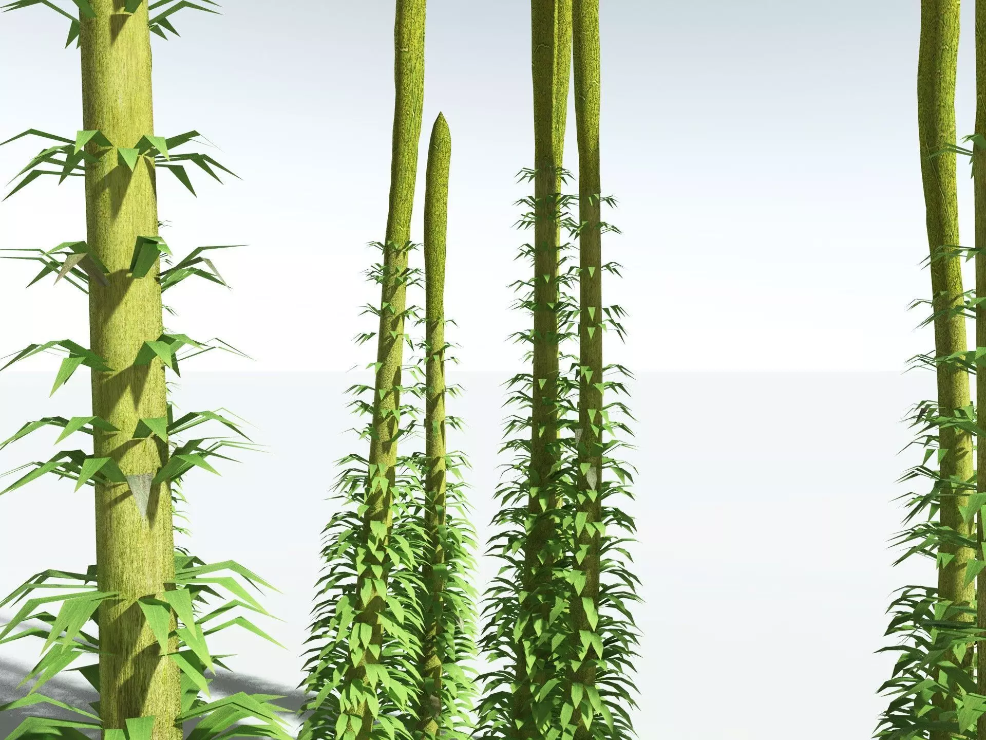 EVERYPlant Chaloneria Cormosa LowPoly Low-poly 3D model_3