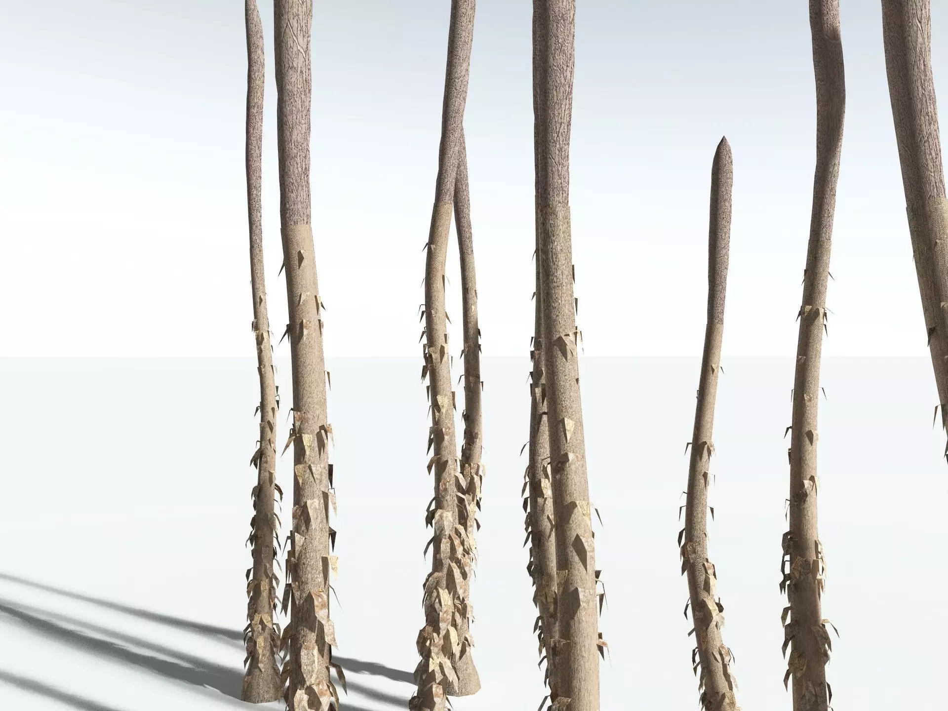 EVERYPlant Chaloneria Cormosa LowPoly Low-poly 3D model_19