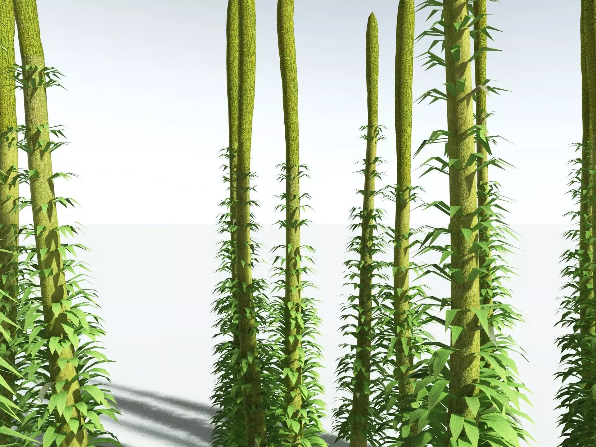 EVERYPlant Chaloneria Cormosa LowPoly Low-poly 3D model_7