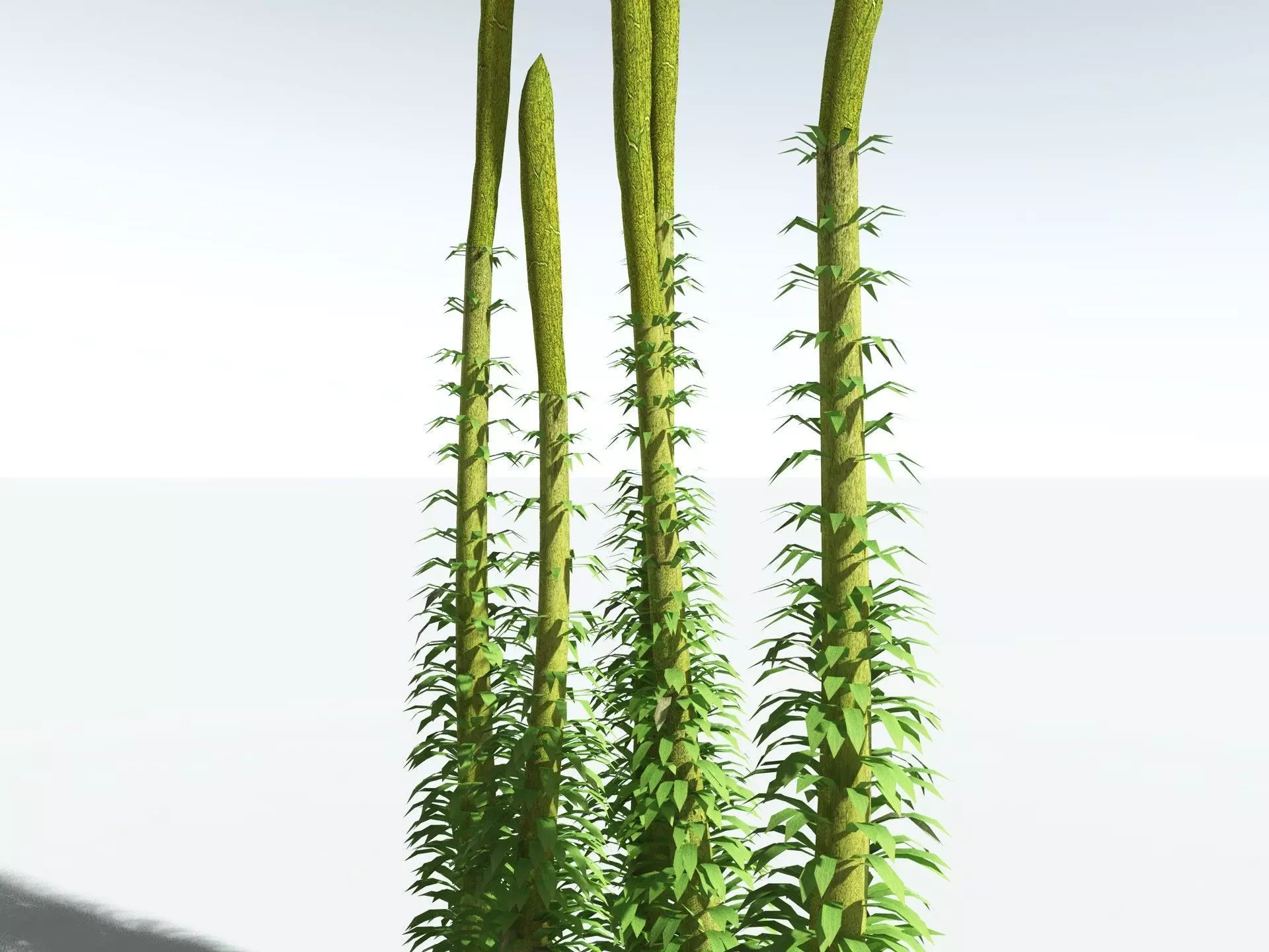 EVERYPlant Chaloneria Cormosa LowPoly Low-poly 3D model_33