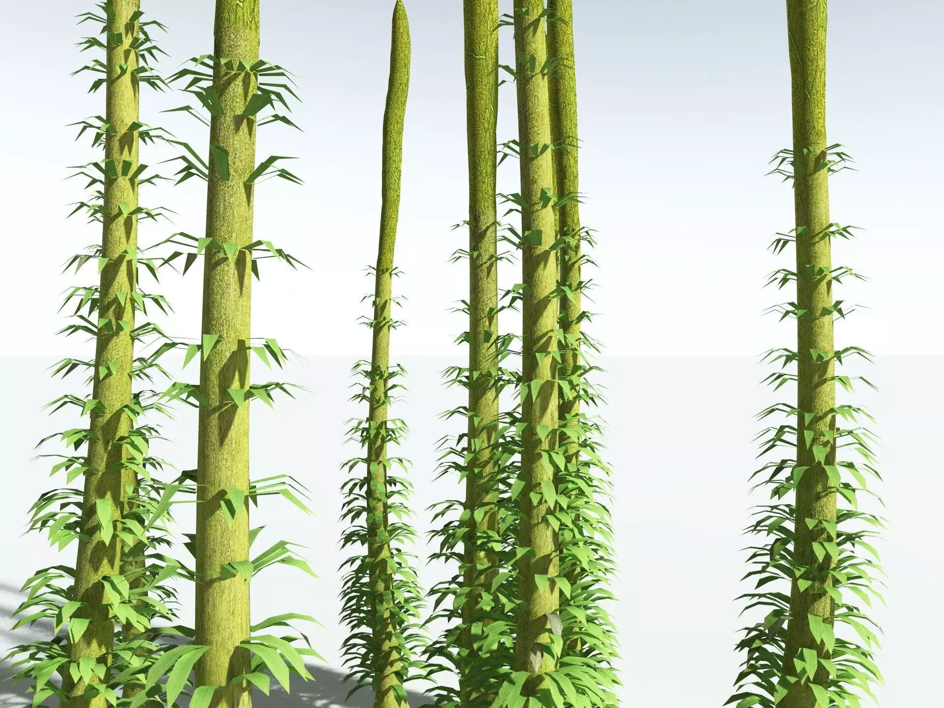 EVERYPlant Chaloneria Cormosa LowPoly Low-poly 3D model_21