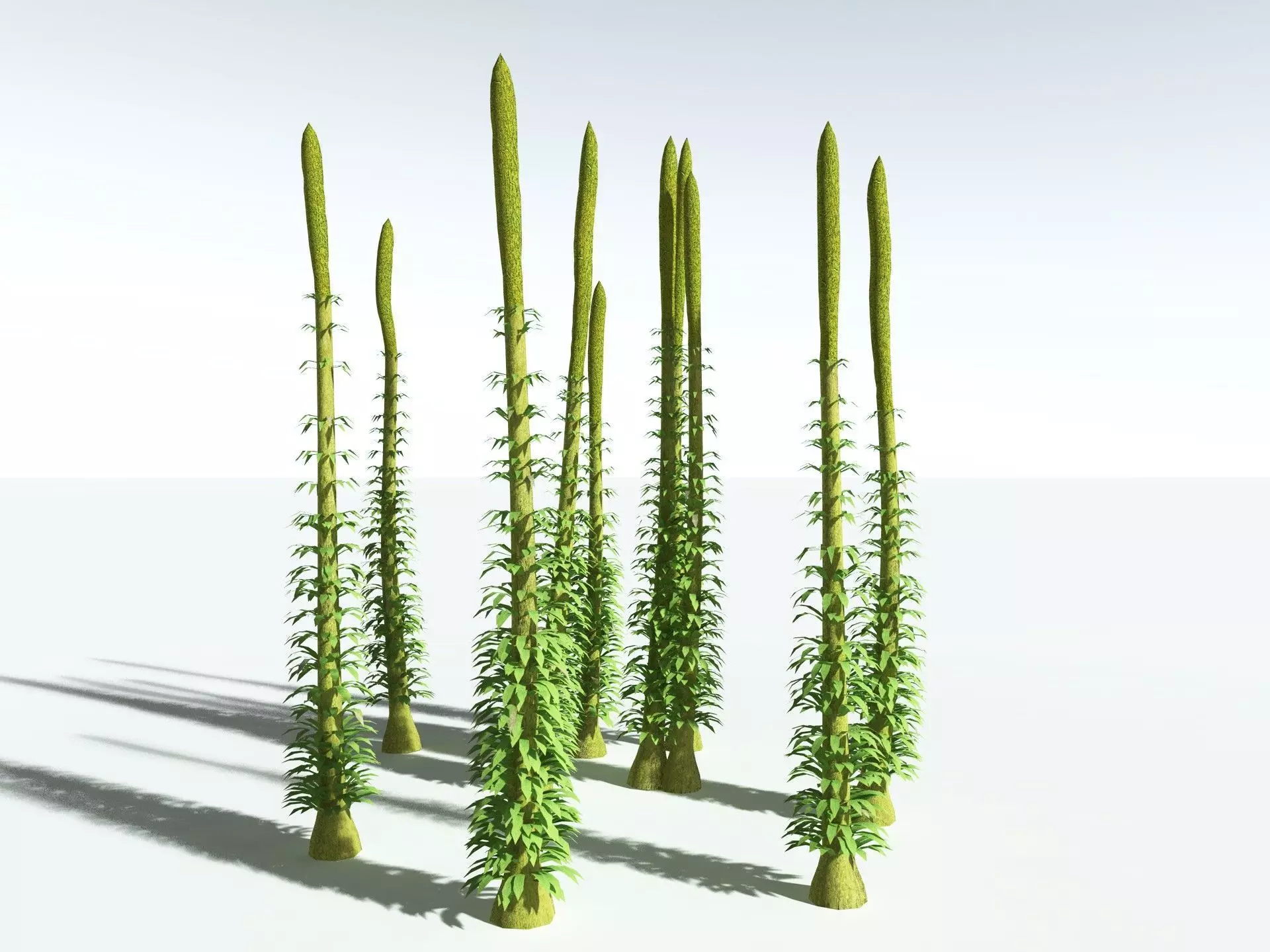 EVERYPlant Chaloneria Cormosa LowPoly Low-poly 3D model_2