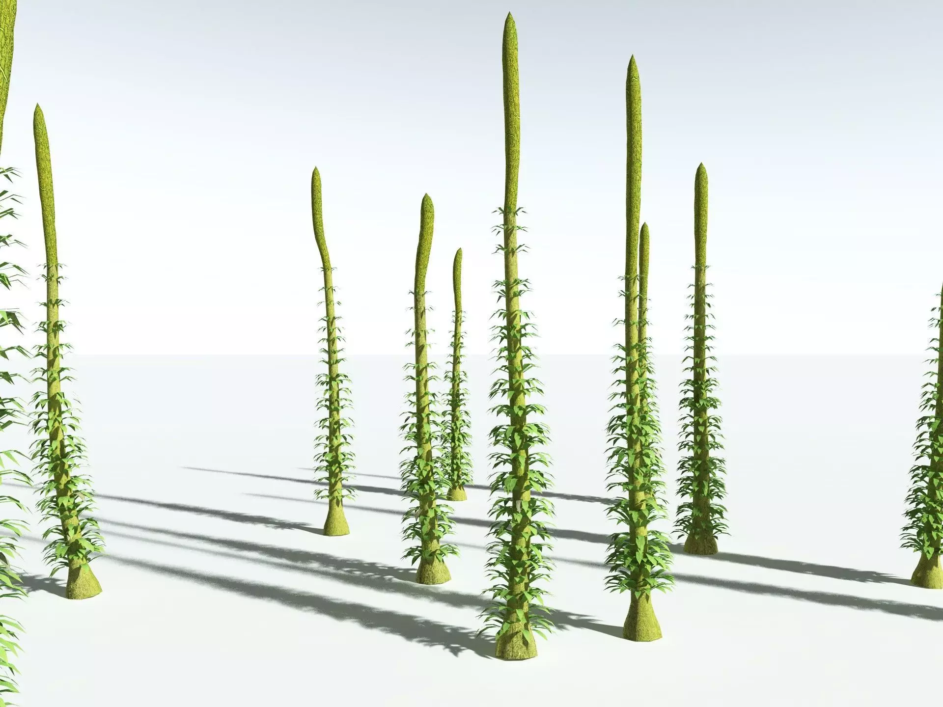 EVERYPlant Chaloneria Cormosa LowPoly Low-poly 3D model_34