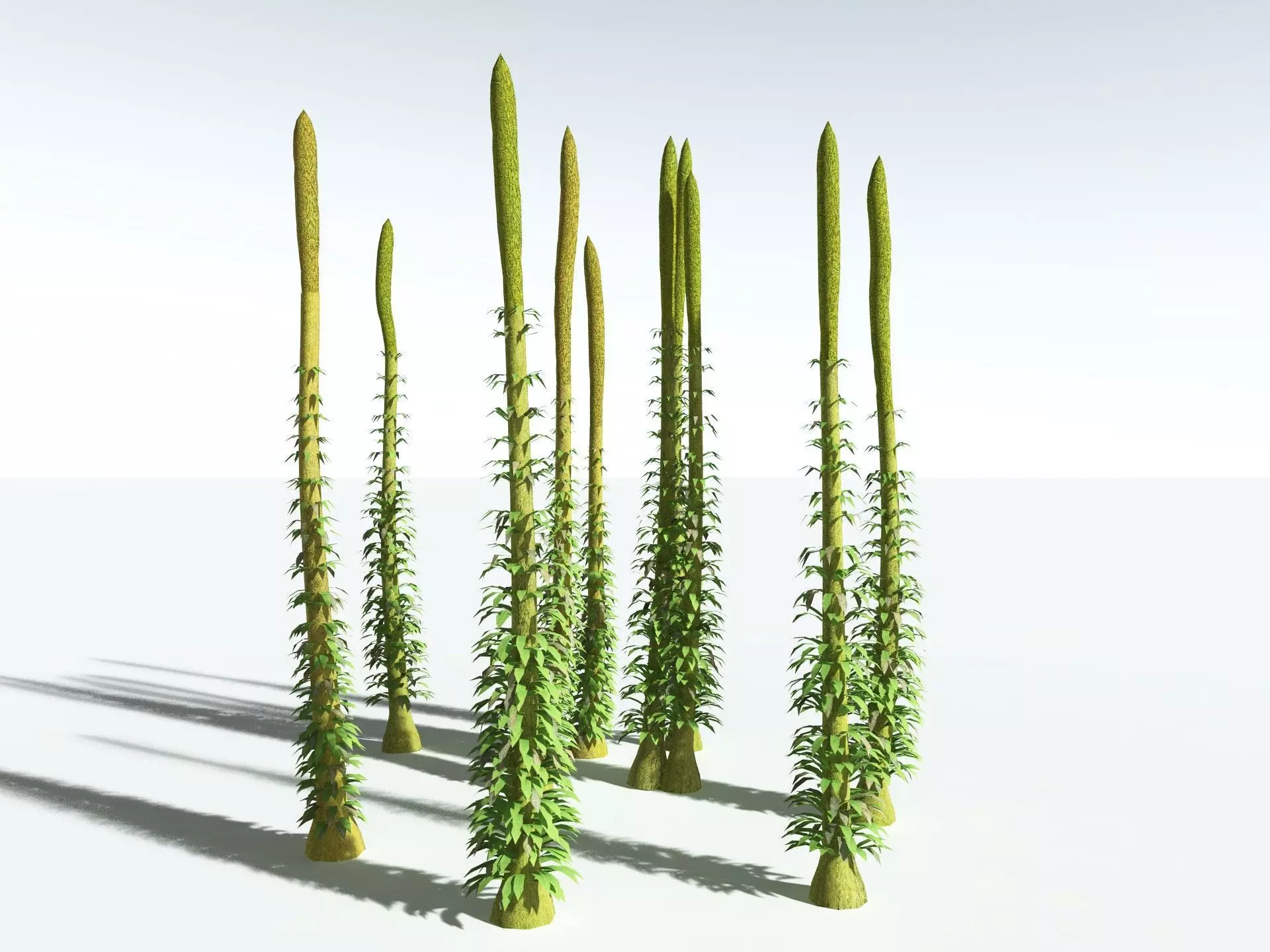 EVERYPlant Chaloneria Cormosa LowPoly Low-poly 3D model_12