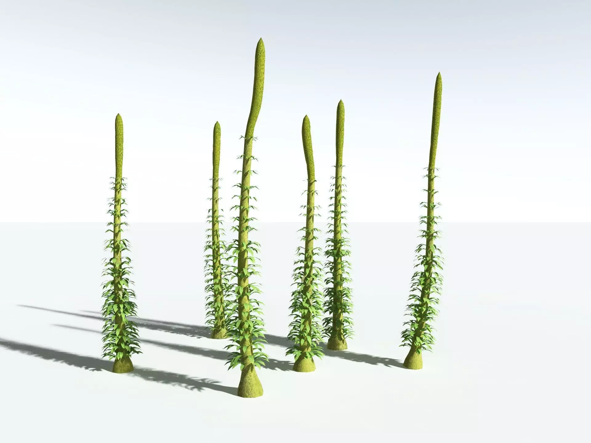 EVERYPlant Chaloneria Cormosa LowPoly Low-poly 3D model_4