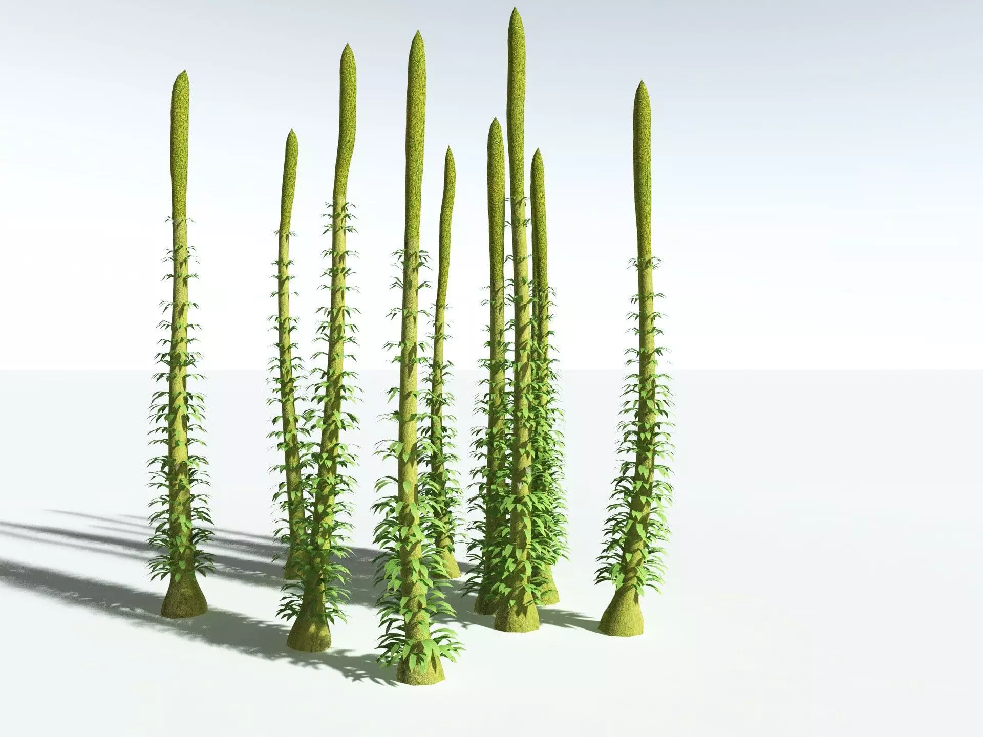 EVERYPlant Chaloneria Cormosa LowPoly Low-poly 3D model_20