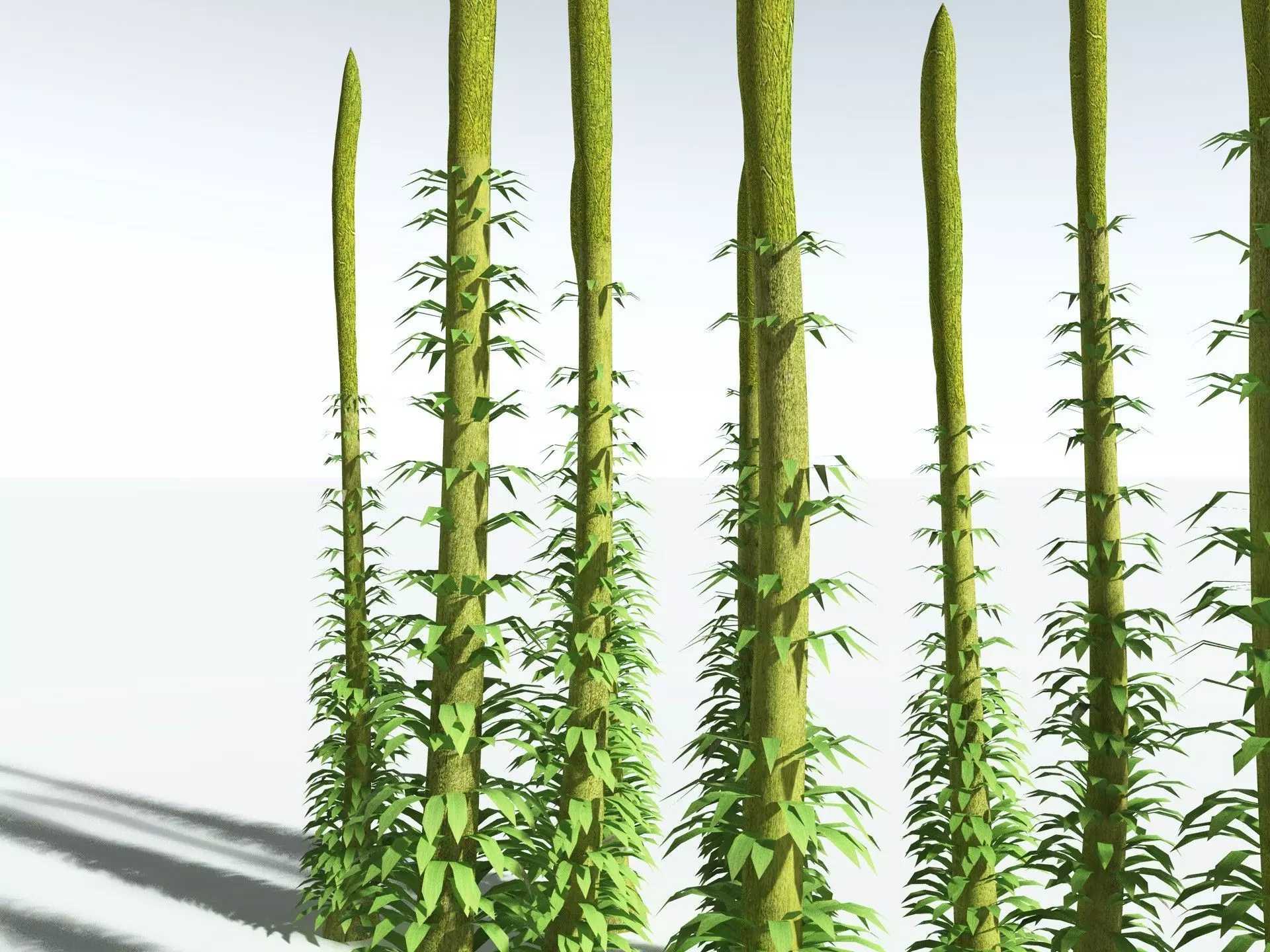 EVERYPlant Chaloneria Cormosa LowPoly Low-poly 3D model_9