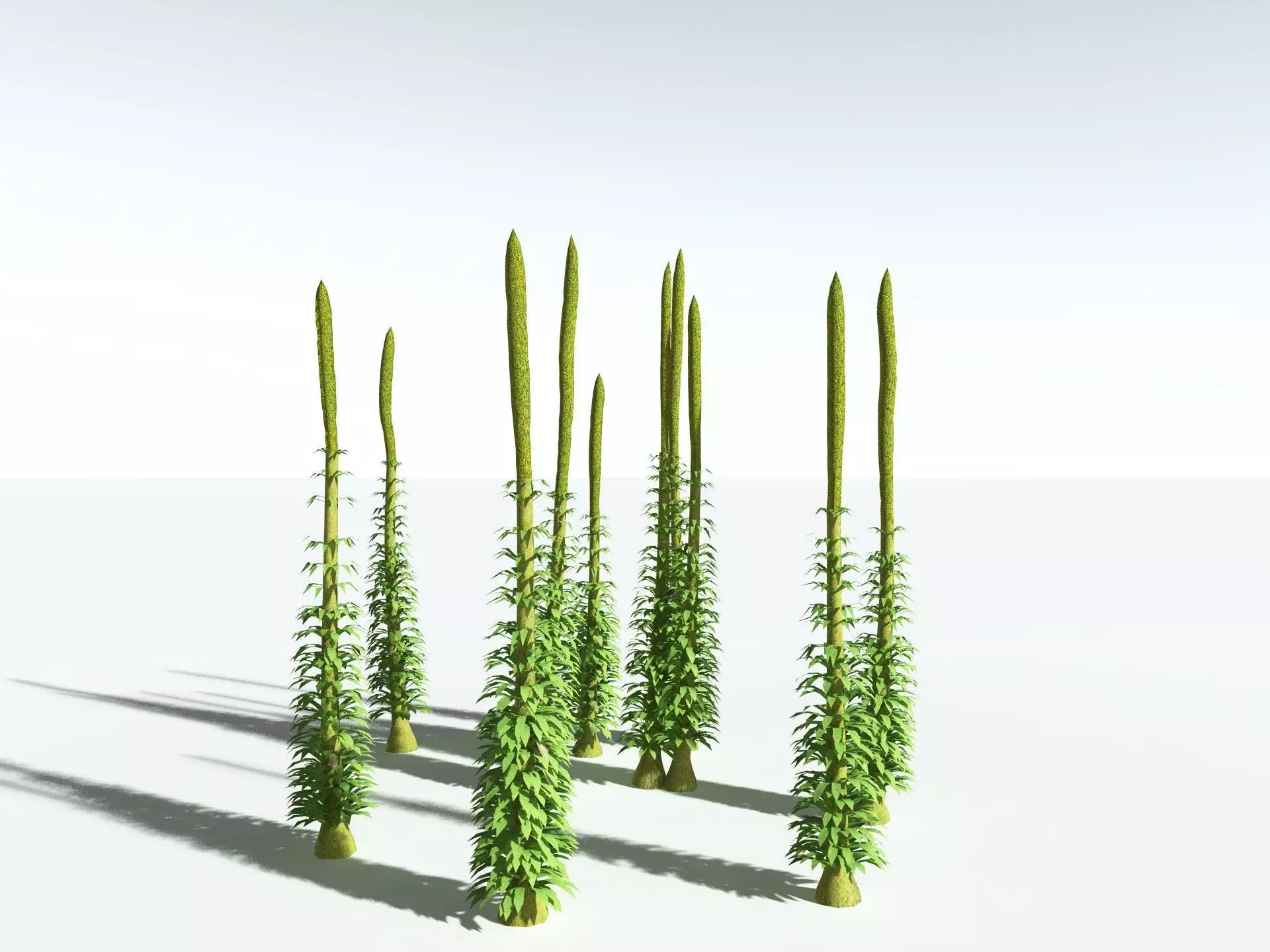 EVERYPlant Chaloneria Cormosa LowPoly Low-poly 3D model_22