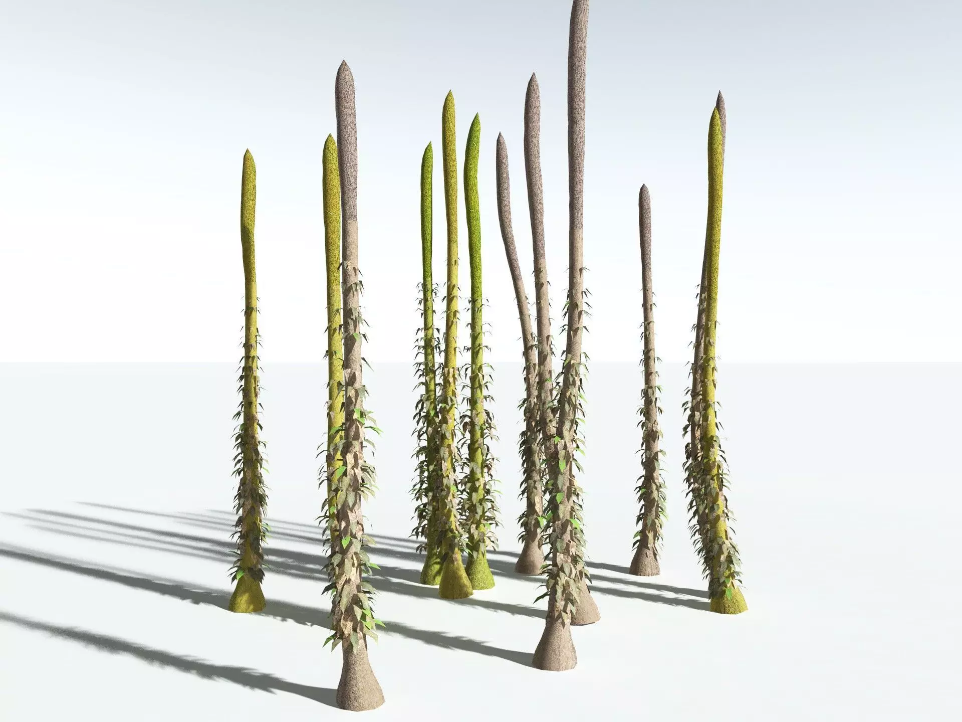 EVERYPlant Chaloneria Cormosa LowPoly Low-poly 3D model_16