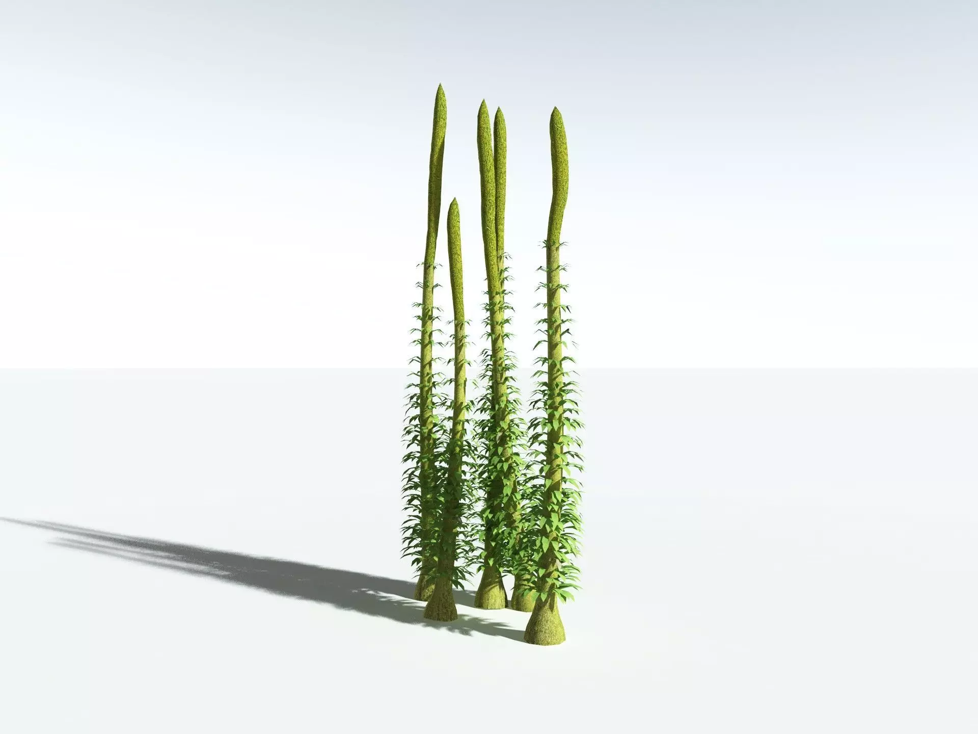 EVERYPlant Chaloneria Cormosa LowPoly Low-poly 3D model_32