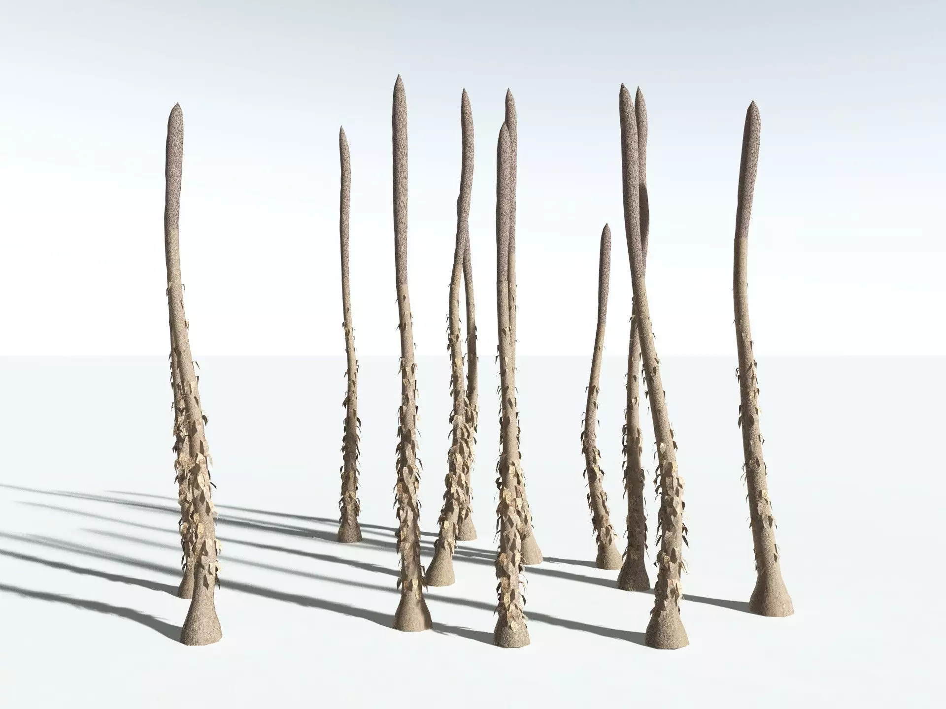 EVERYPlant Chaloneria Cormosa LowPoly Low-poly 3D model_18