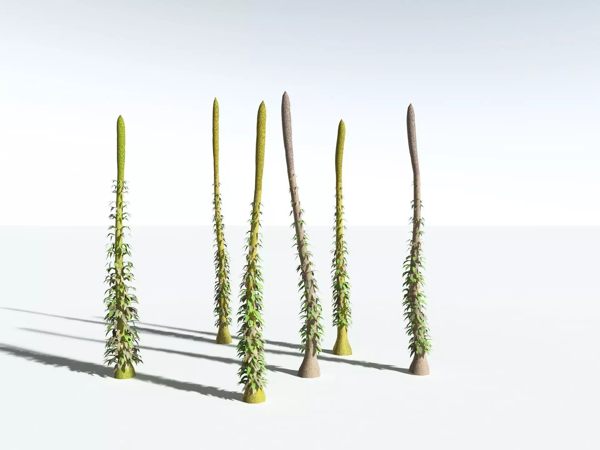 EVERYPlant Chaloneria Cormosa LowPoly Low-poly 3D model_14