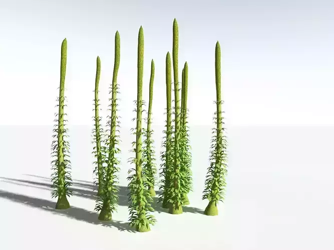 EVERYPlant Chaloneria Cormosa LowPoly Low-poly 3D model