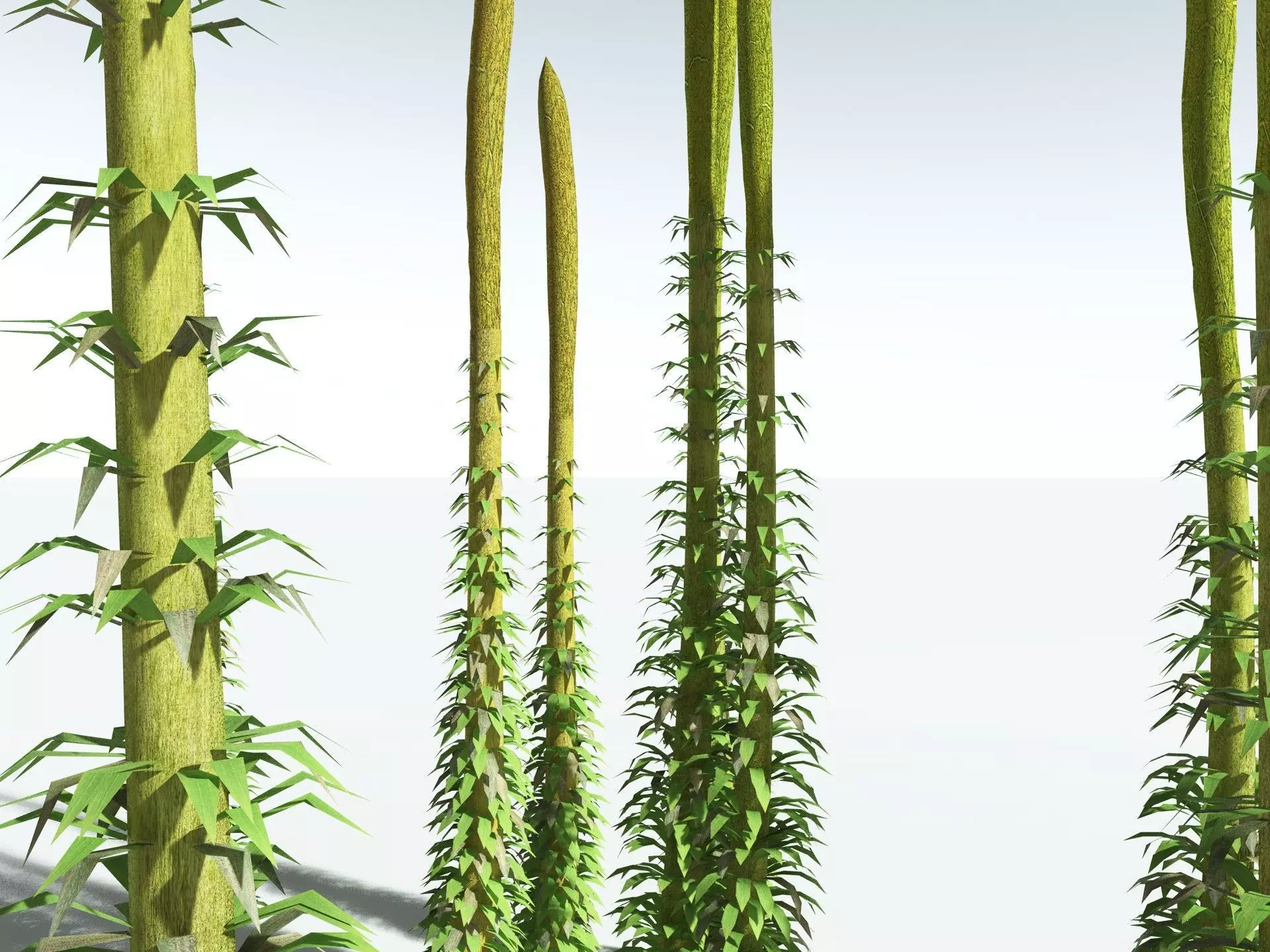 EVERYPlant Chaloneria Cormosa LowPoly Low-poly 3D model_13