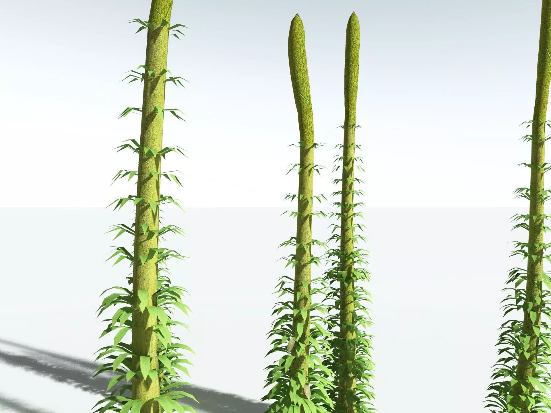 EVERYPlant Chaloneria Cormosa LowPoly Low-poly 3D model_5