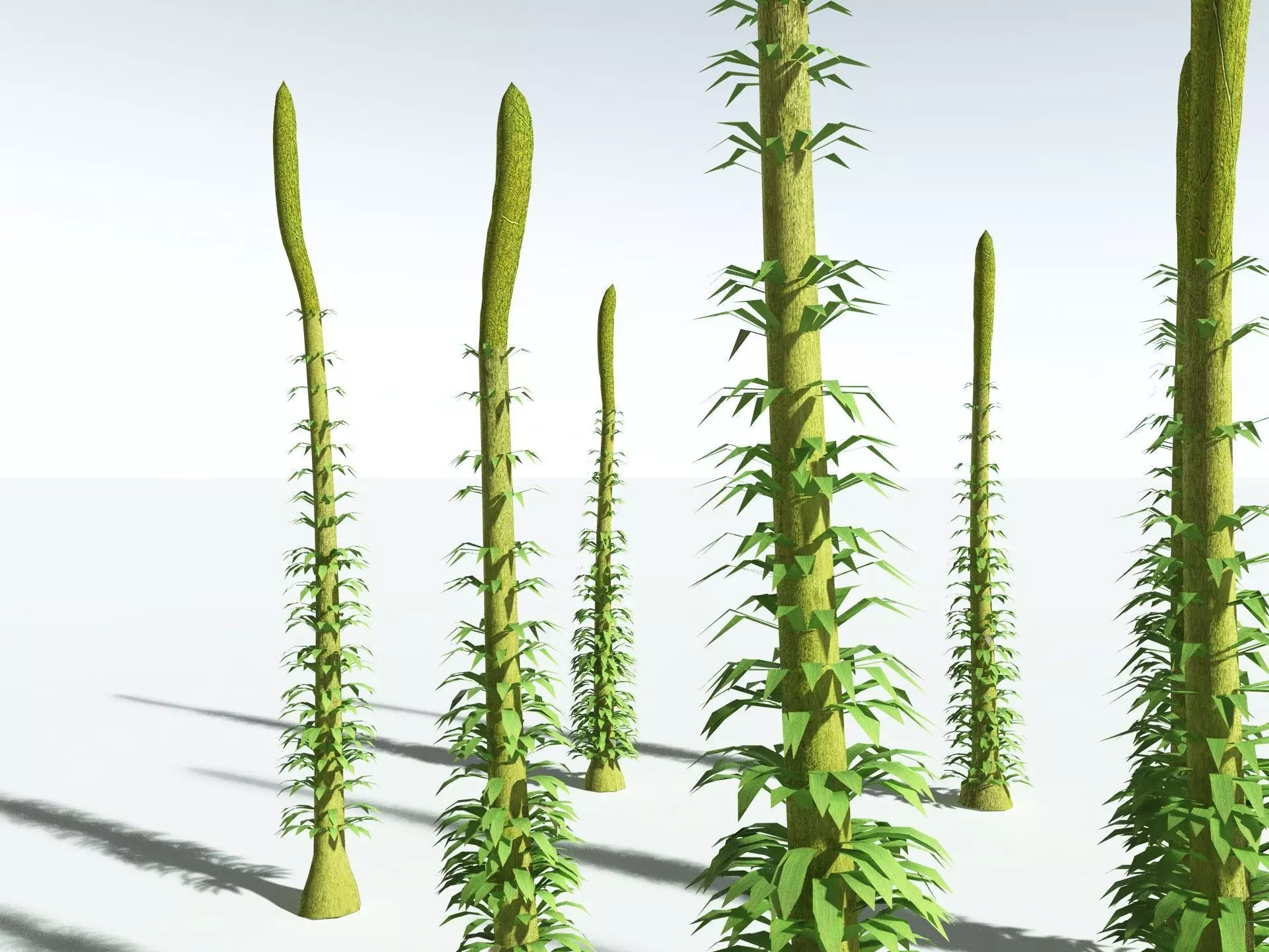 EVERYPlant Chaloneria Cormosa LowPoly Low-poly 3D model_35