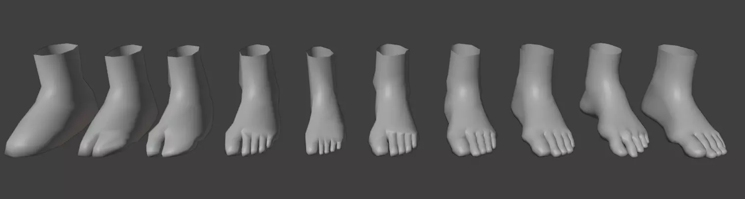 HumanFoot3DModelCollection Low-poly 3D model_0