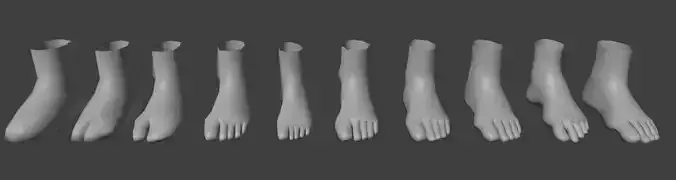 HumanFoot3DModelCollection