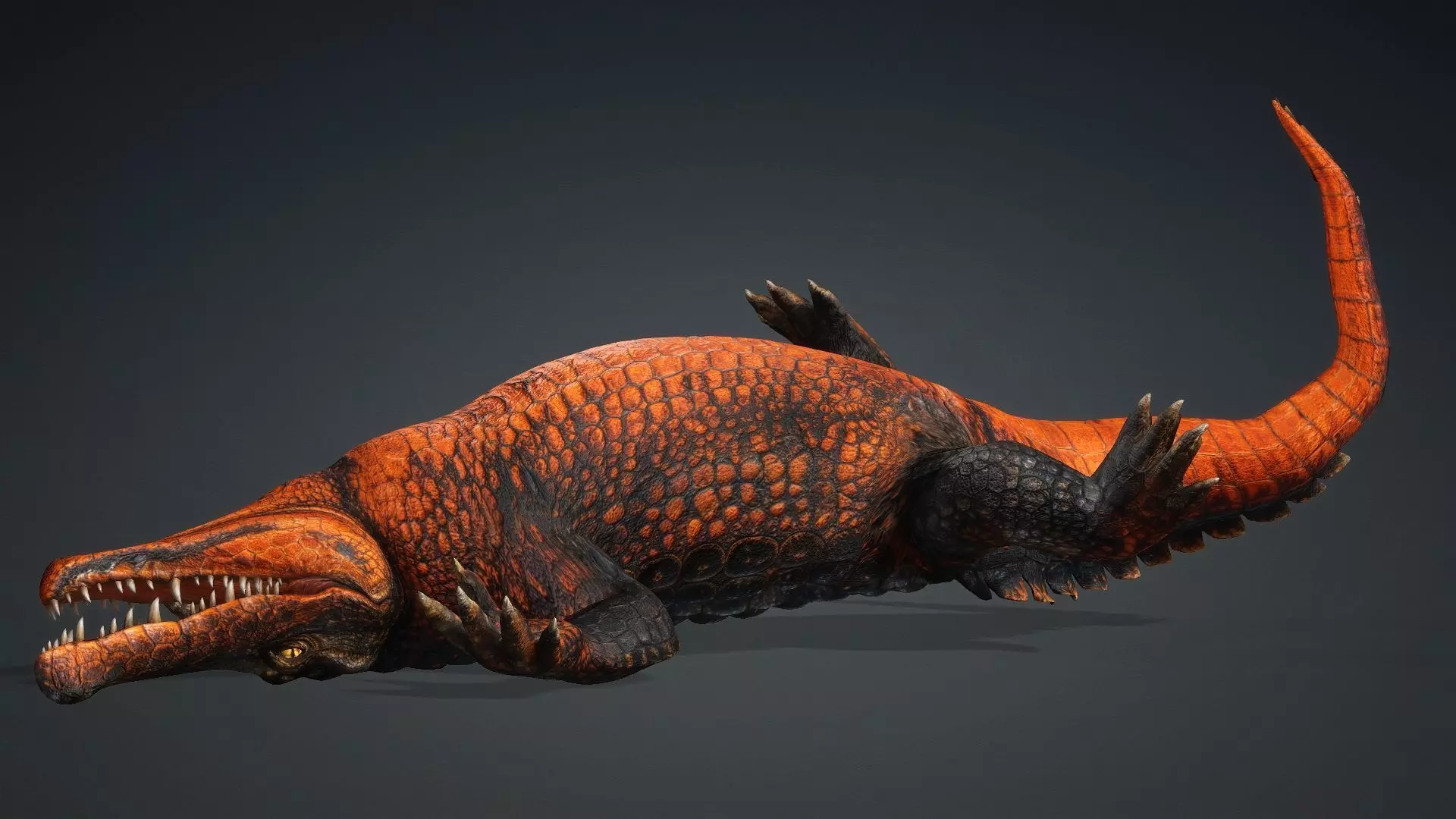 Crocodile-V1a 3D model_9