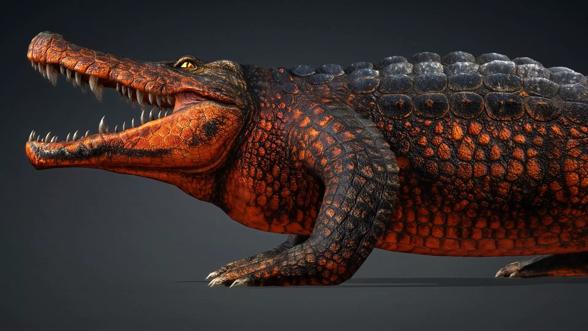 Crocodile-V1a 3D model_3
