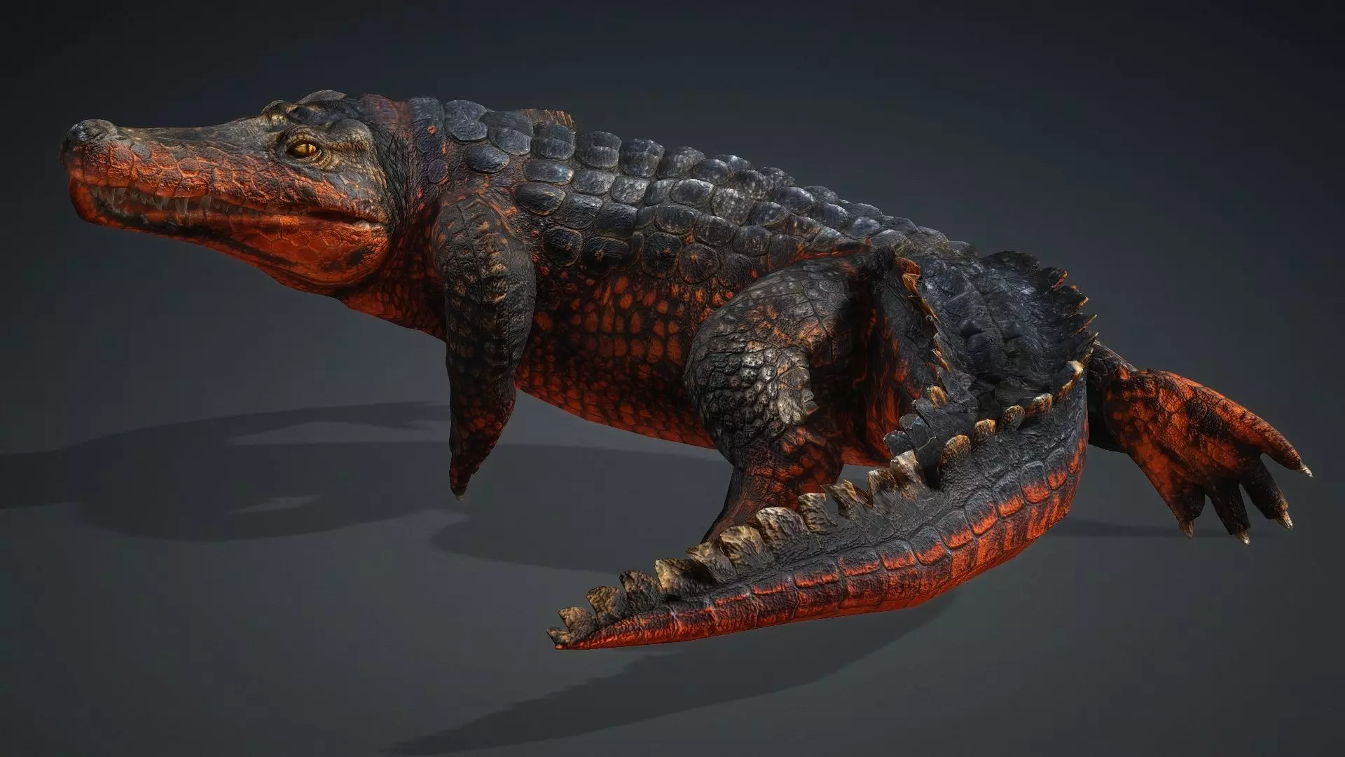 Crocodile-V1a 3D model_16
