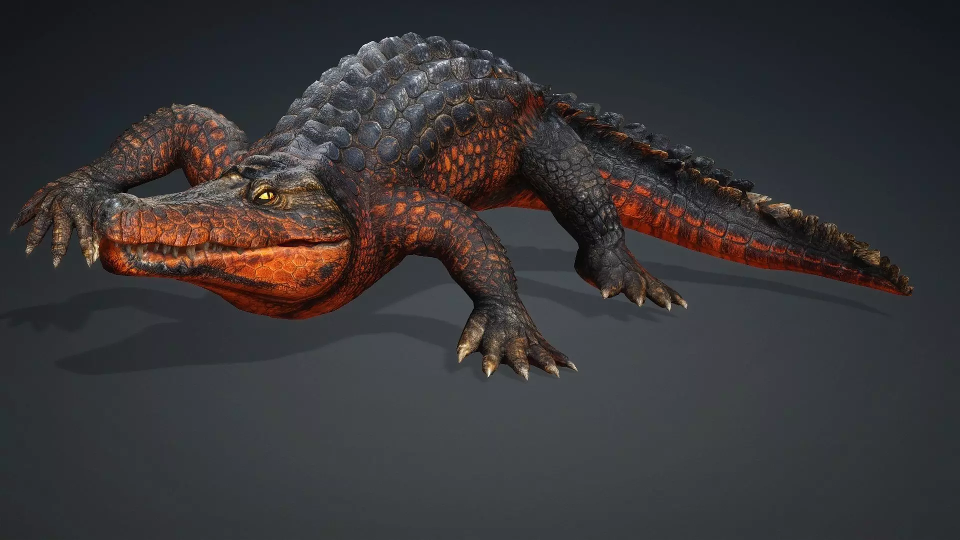 Crocodile-V1a 3D model_17
