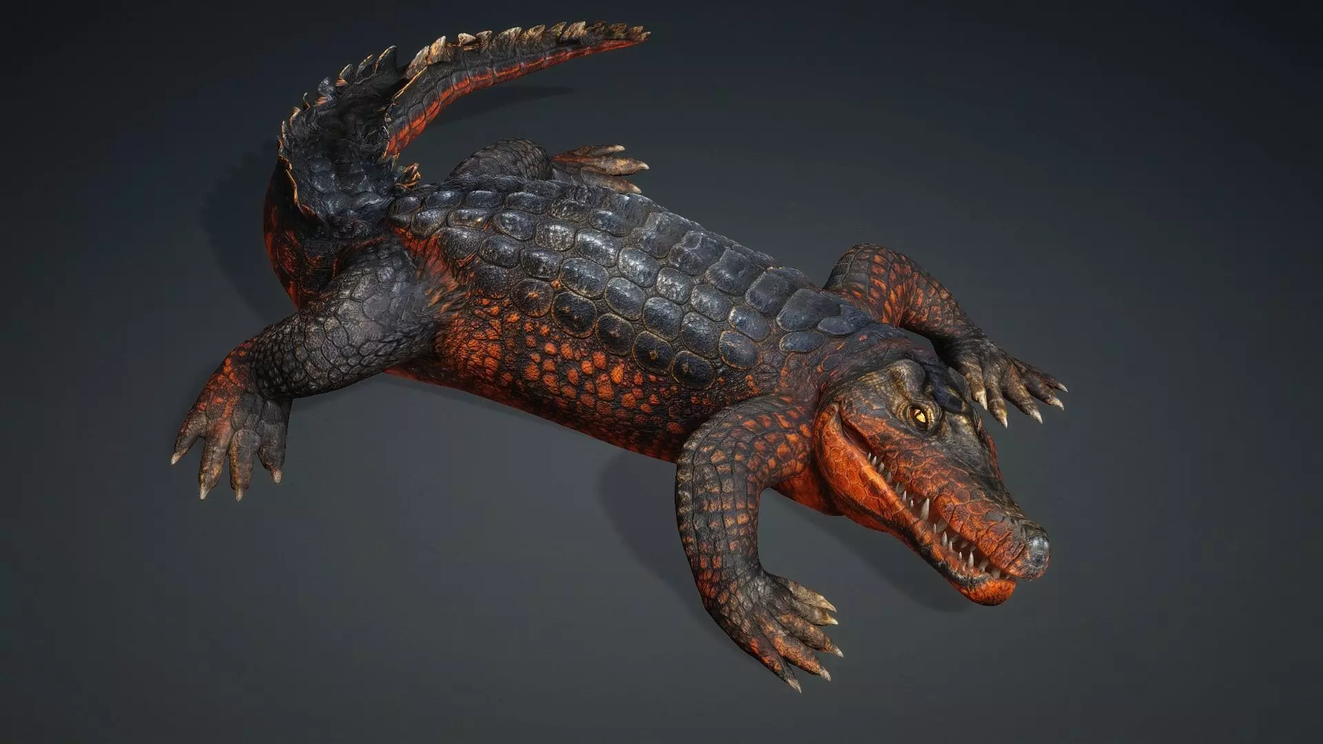Crocodile-V1a 3D model_18