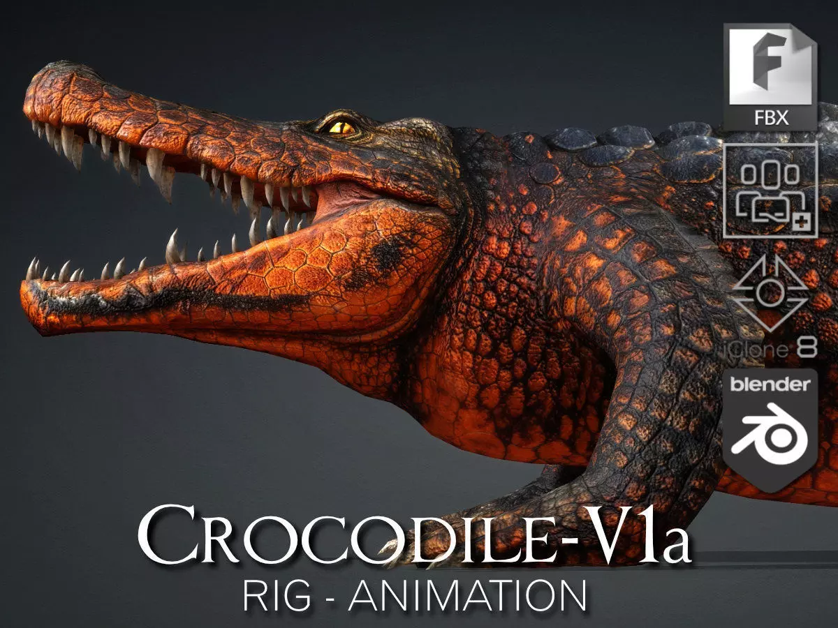 Crocodile-V1a 3D model_0