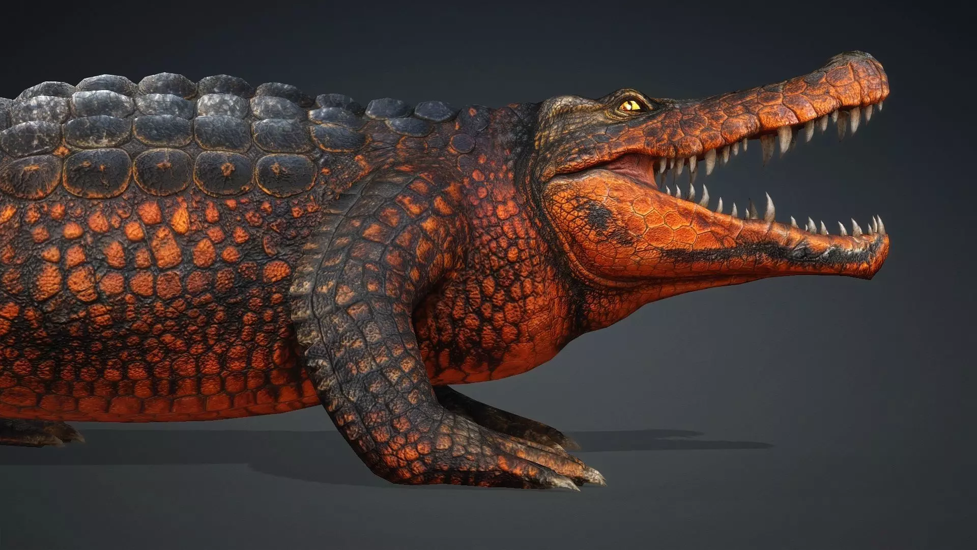 Crocodile-V1a 3D model_12