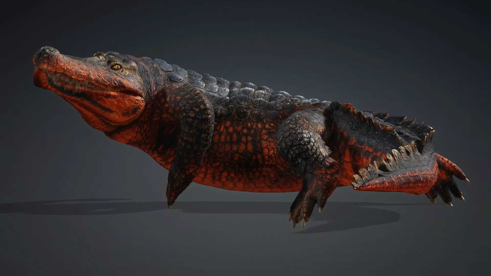 Crocodile-V1a 3D model_14