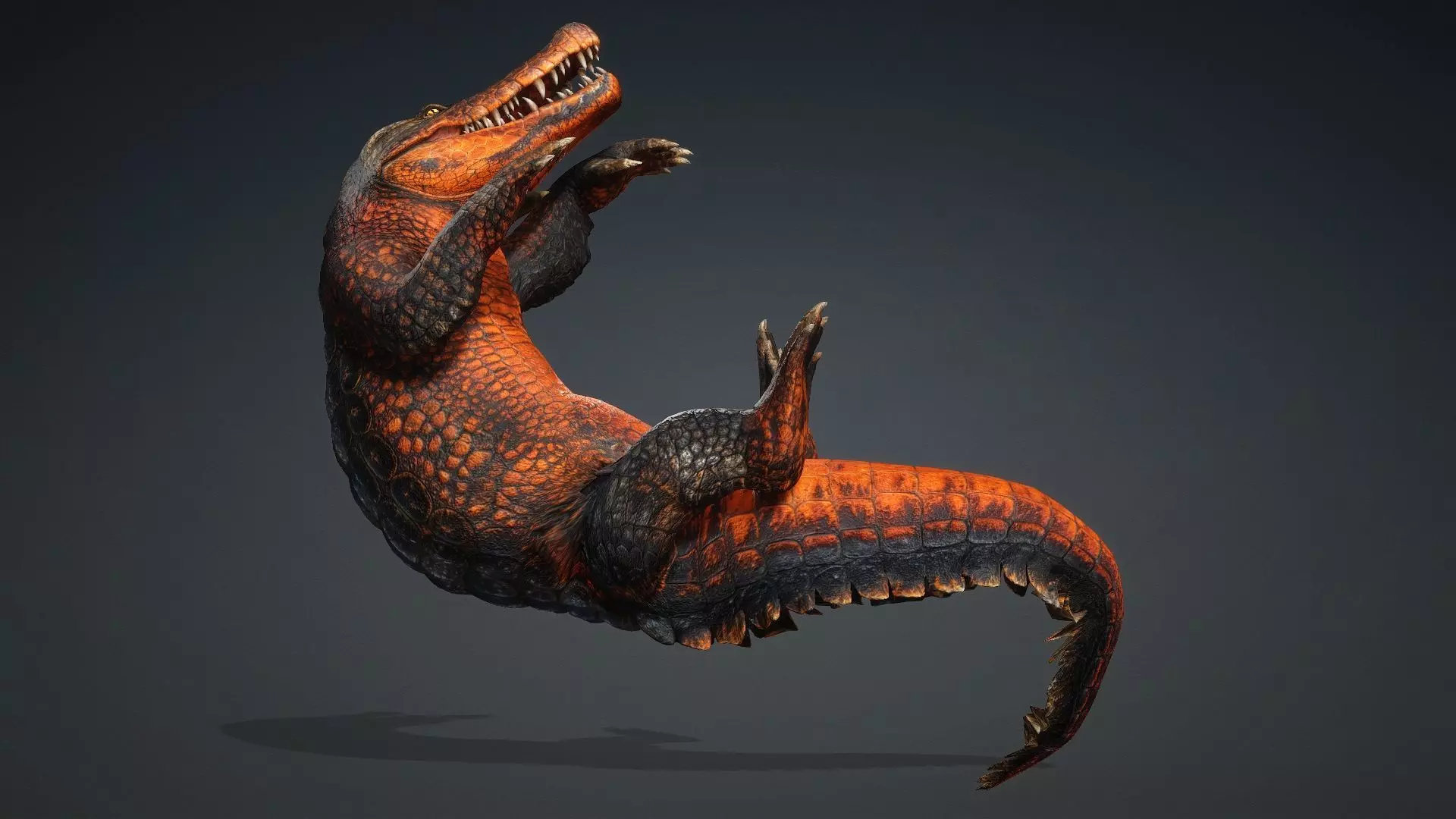 Crocodile-V1a 3D model_7