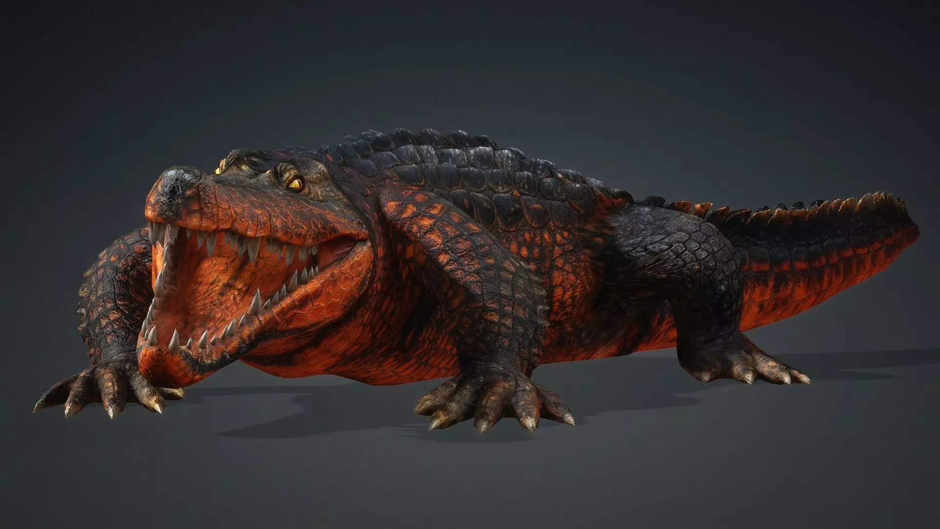 Crocodile-V1a 3D model_13