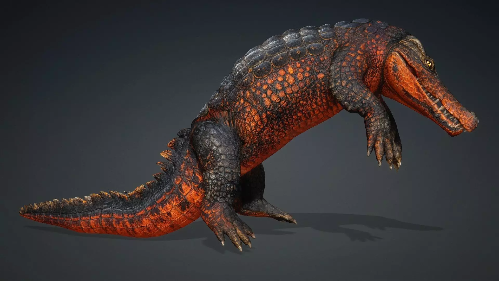 Crocodile-V1a 3D model_5