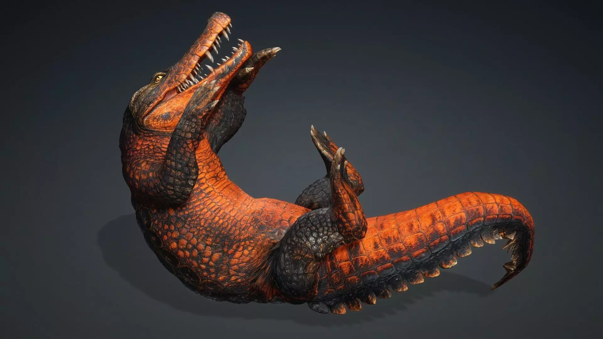 Crocodile-V1a 3D model_8