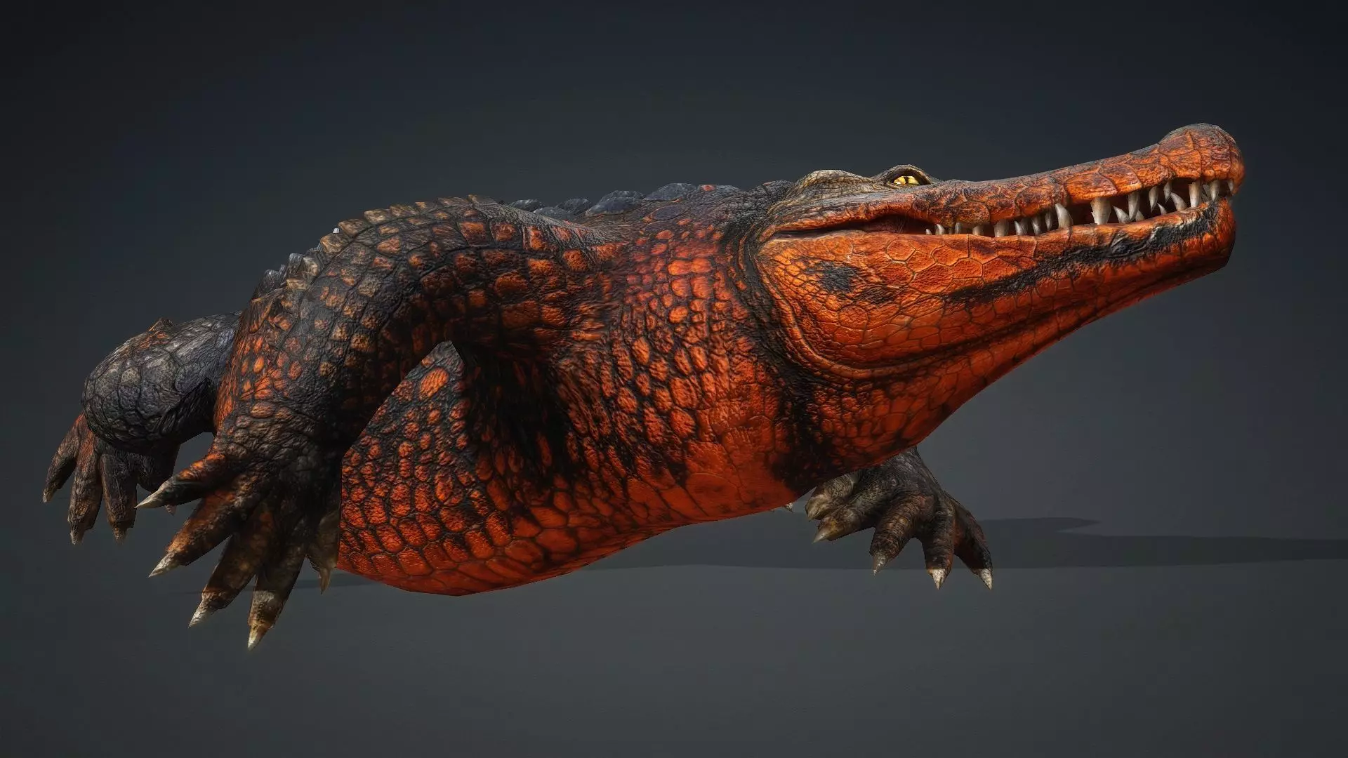 Crocodile-V1a 3D model_15