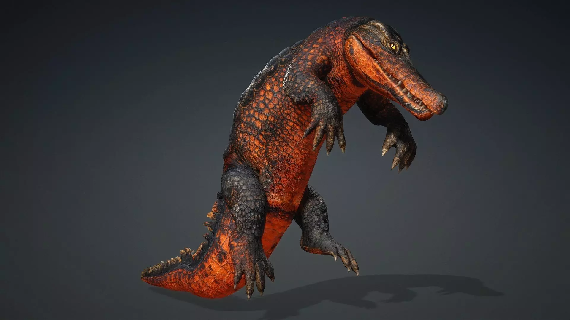 Crocodile-V1a 3D model_6