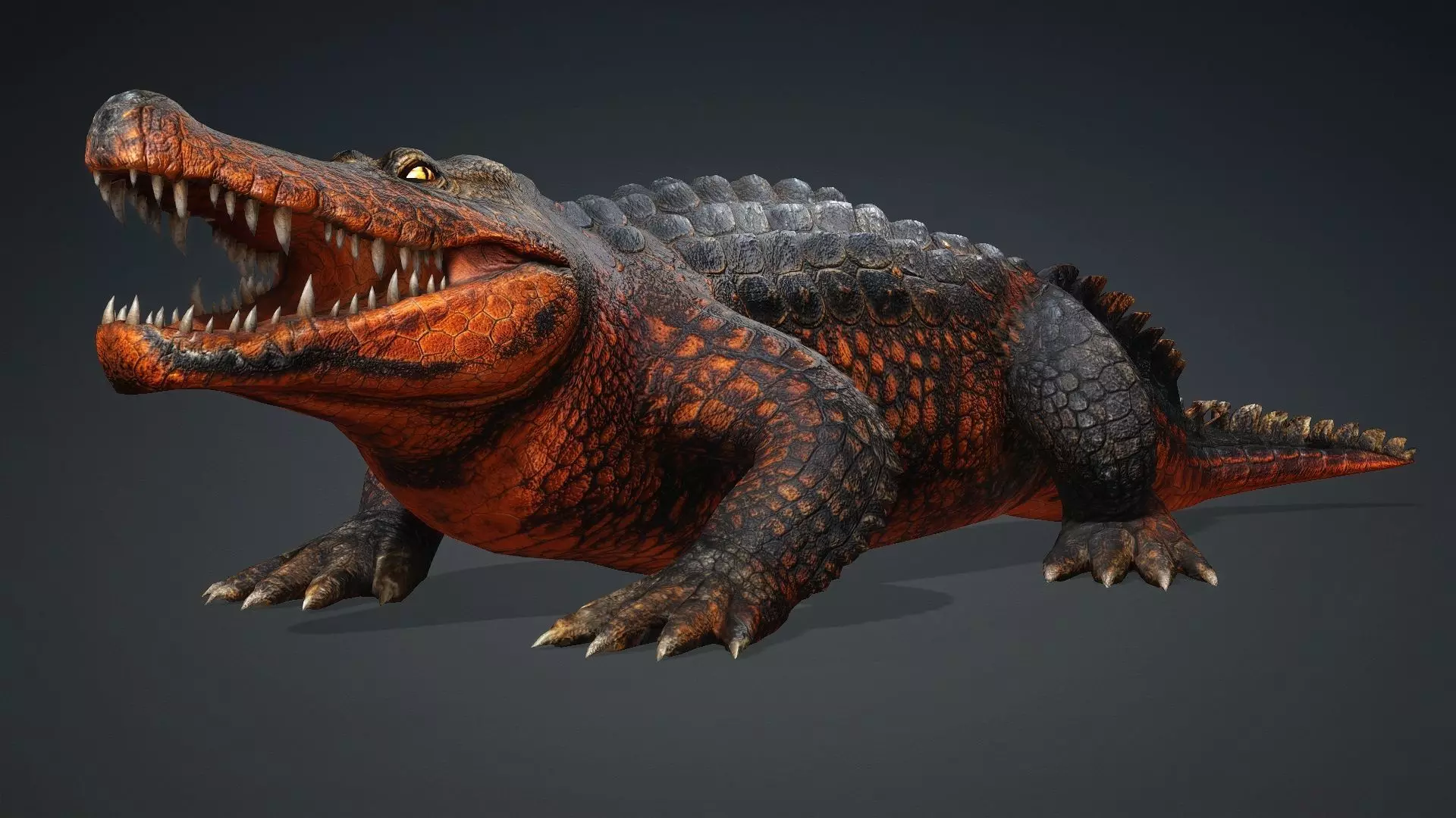 Crocodile-V1a 3D model_2