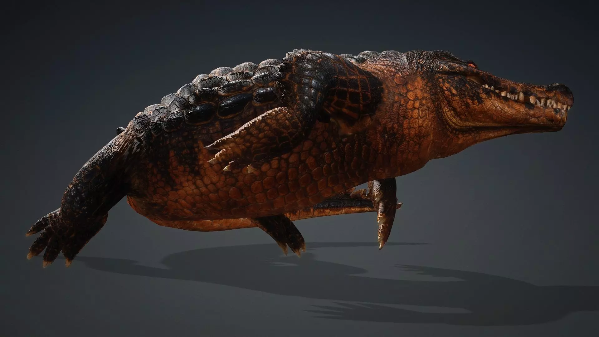 Crocodile-V1b 3D model_16