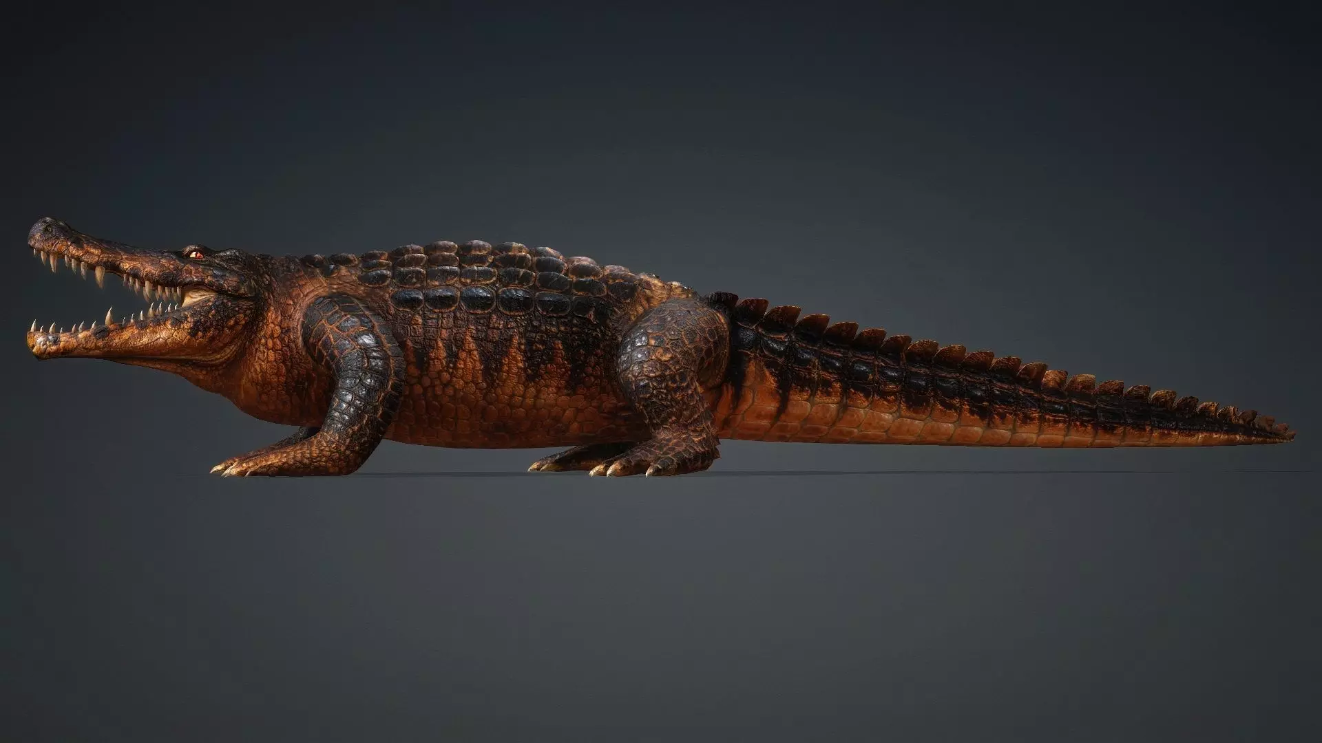 Crocodile-V1b 3D model_4