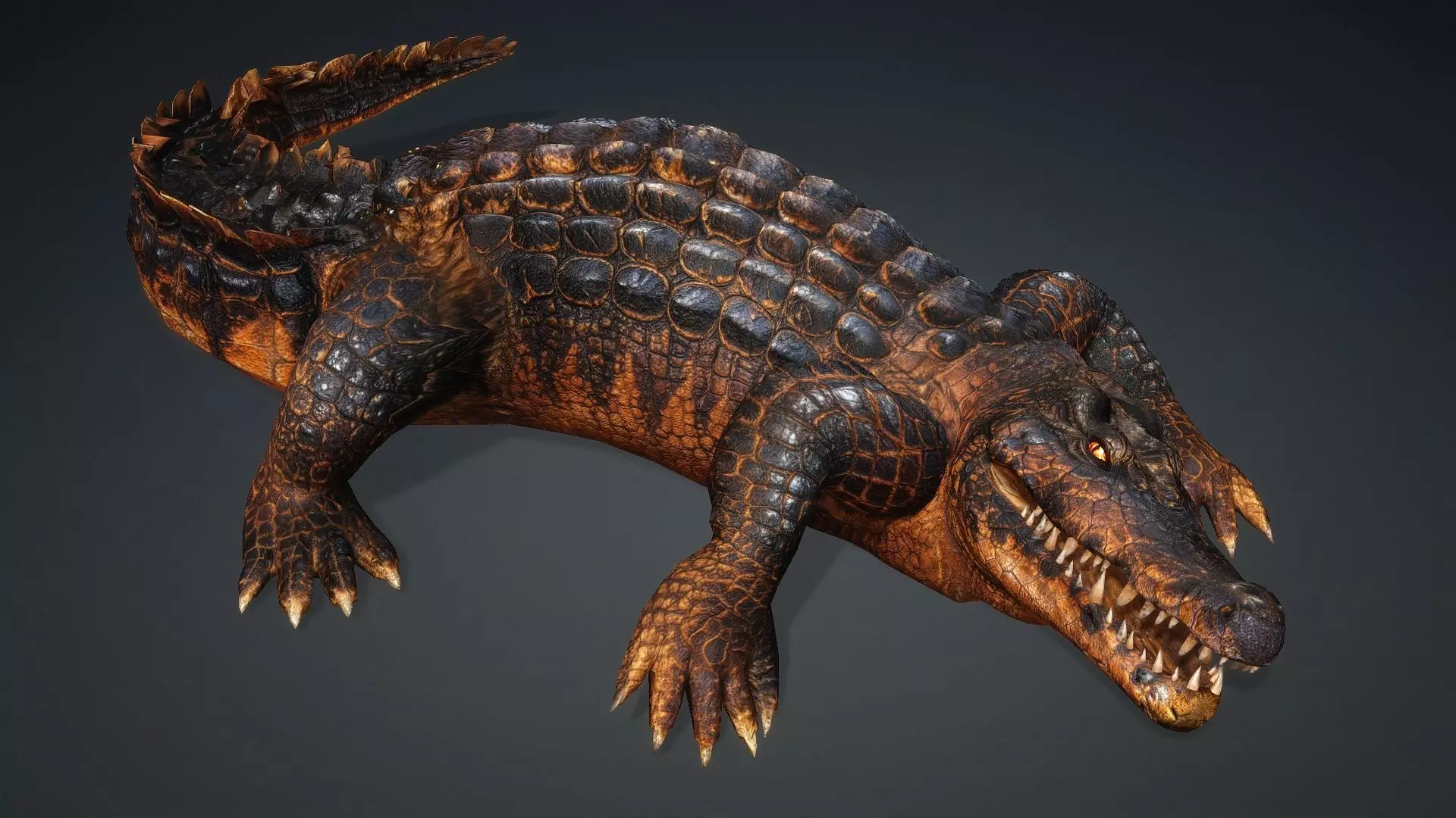 Crocodile-V1b 3D model_18