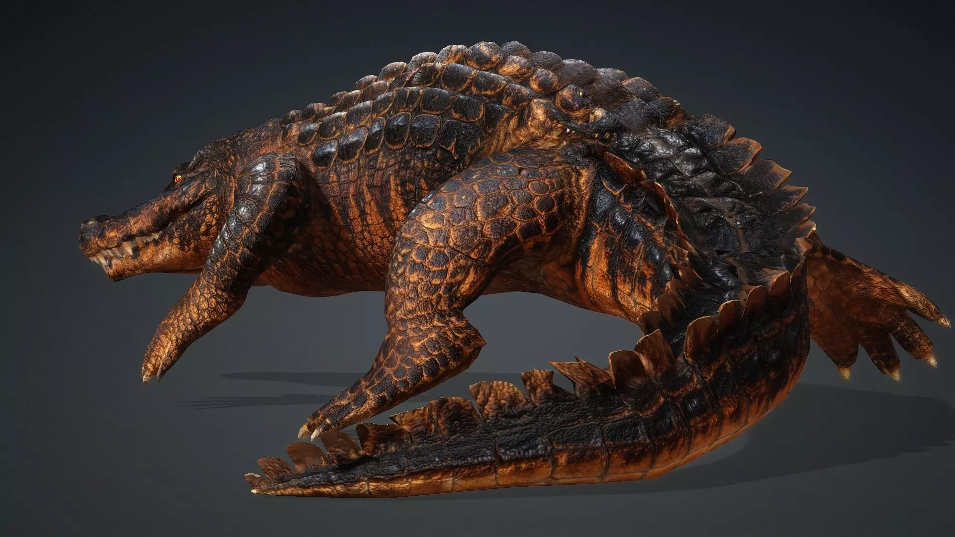 Crocodile-V1b 3D model_17