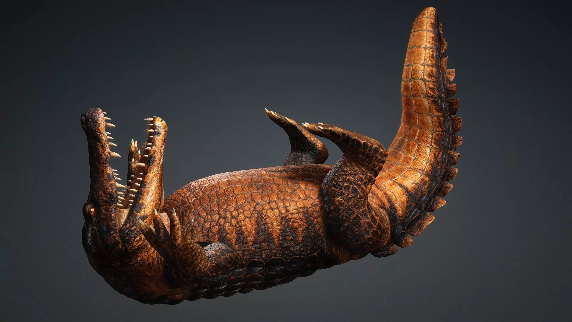 Crocodile-V1b 3D model_8