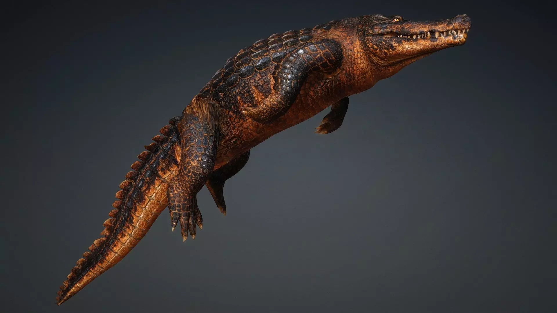 Crocodile-V1b 3D model_9