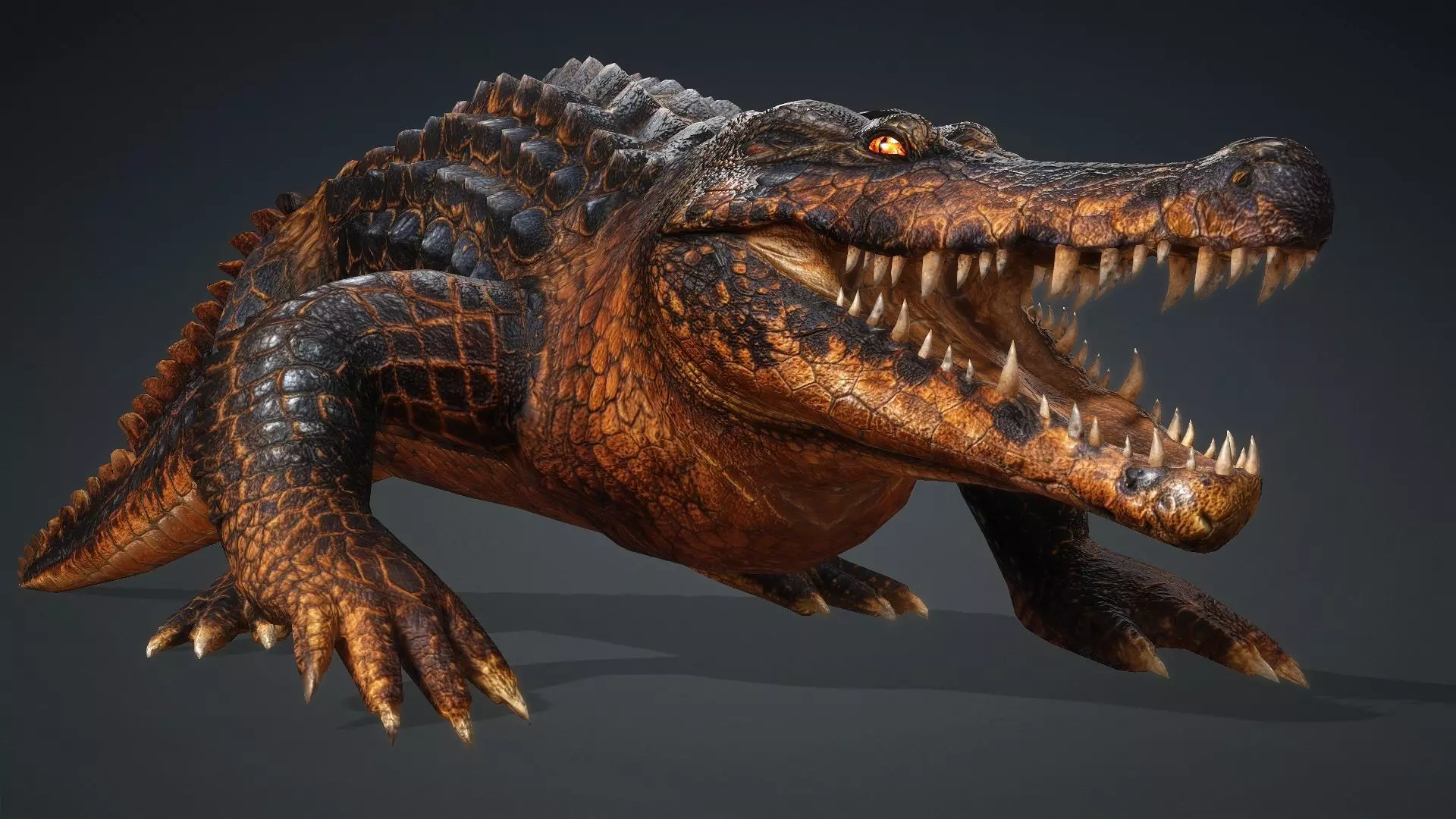 Crocodile-V1b 3D model_13