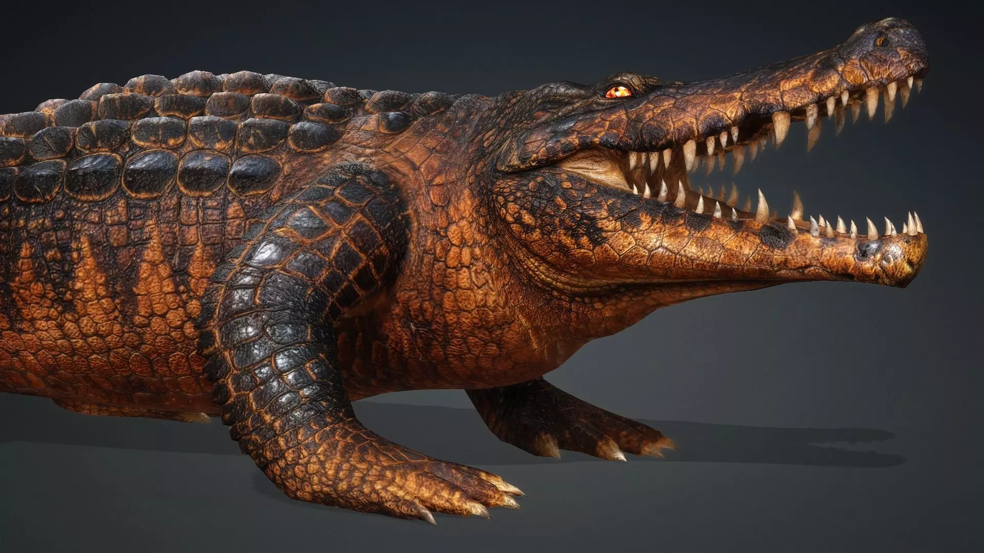 Crocodile-V1b 3D model_12
