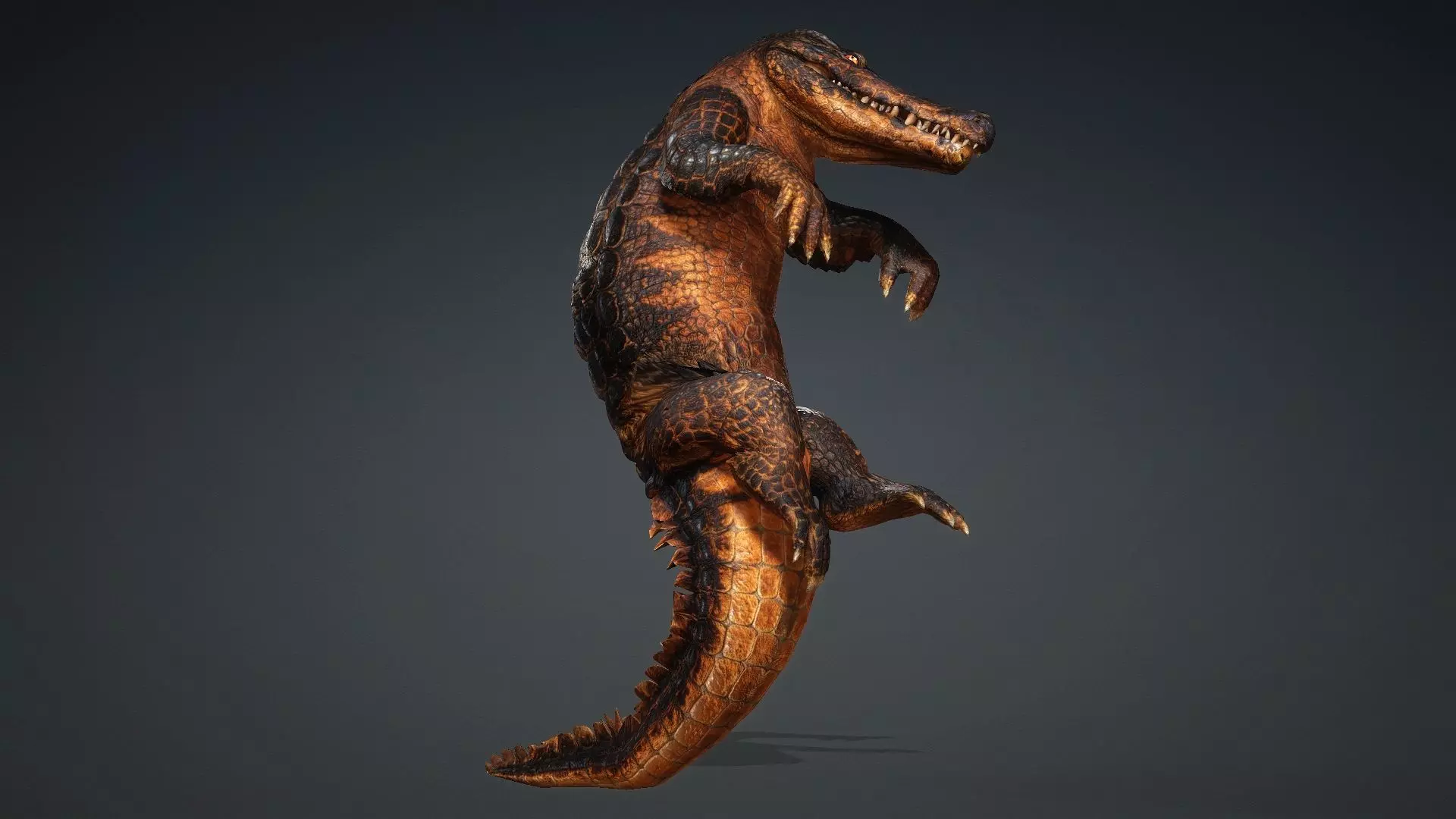 Crocodile-V1b 3D model_6