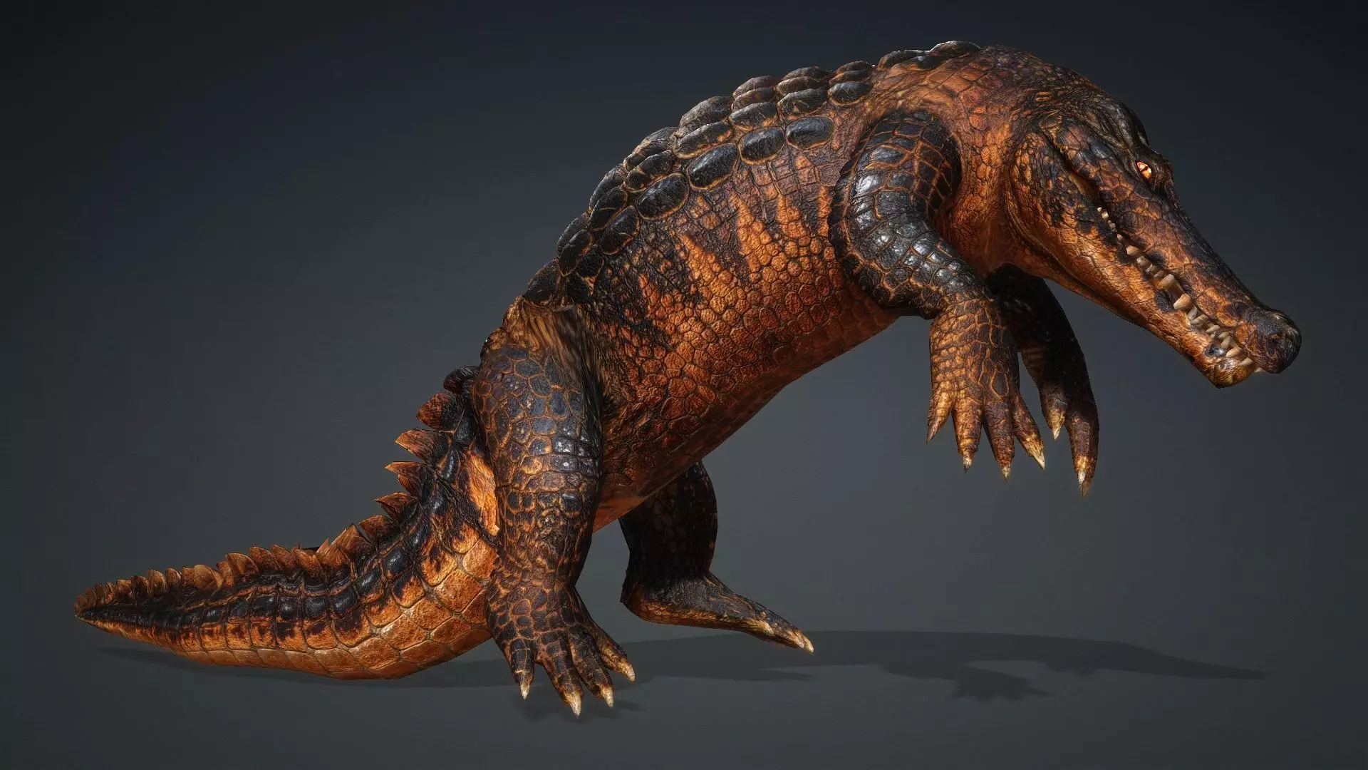 Crocodile-V1b 3D model_5