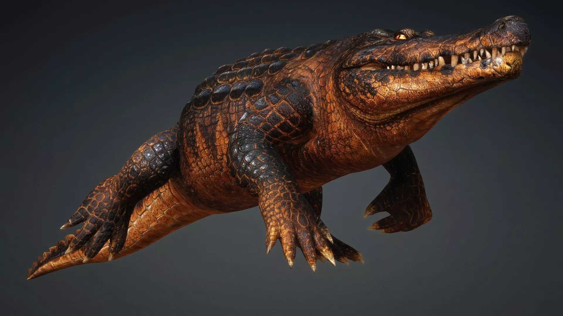 Crocodile-V1b 3D model_10