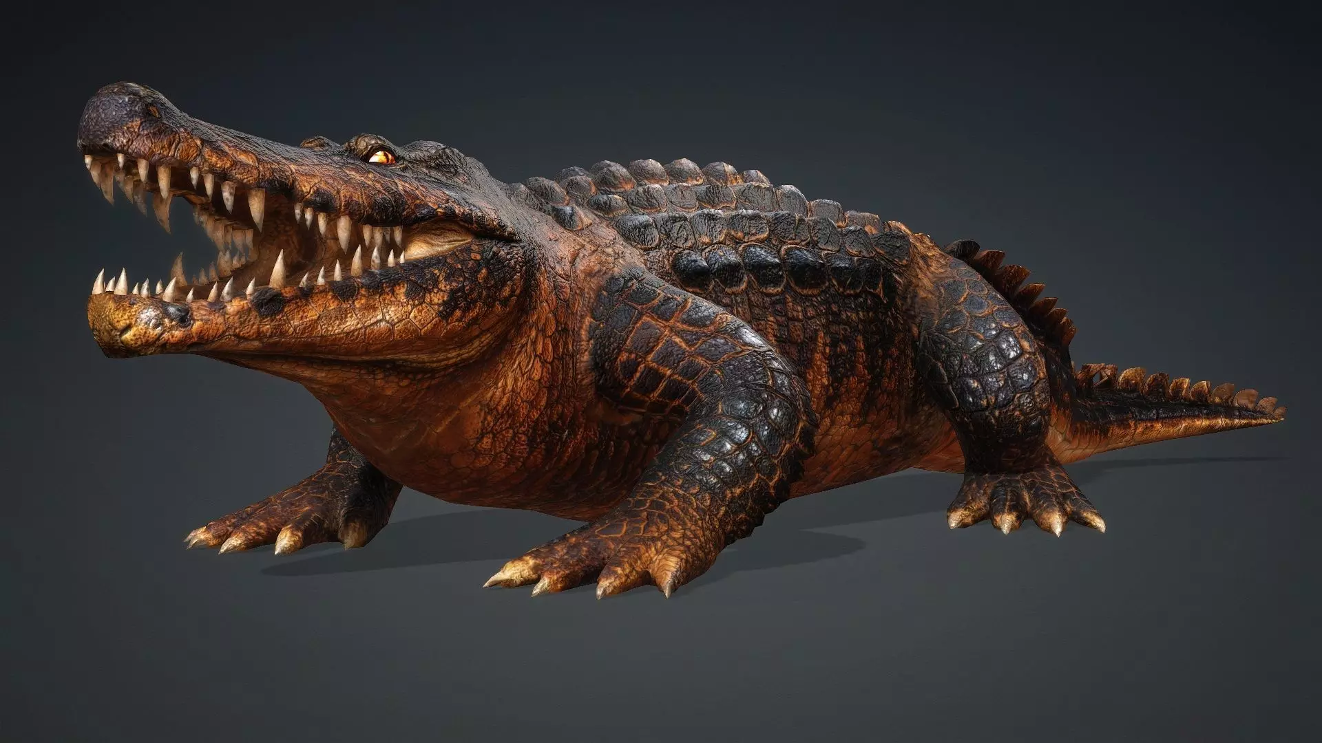 Crocodile-V1b 3D model_2