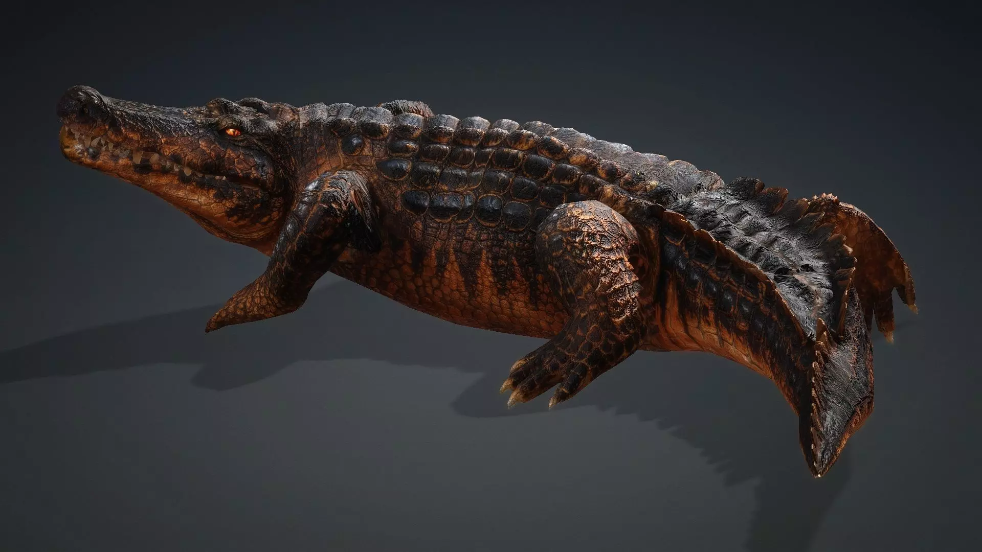 Crocodile-V1b 3D model_15